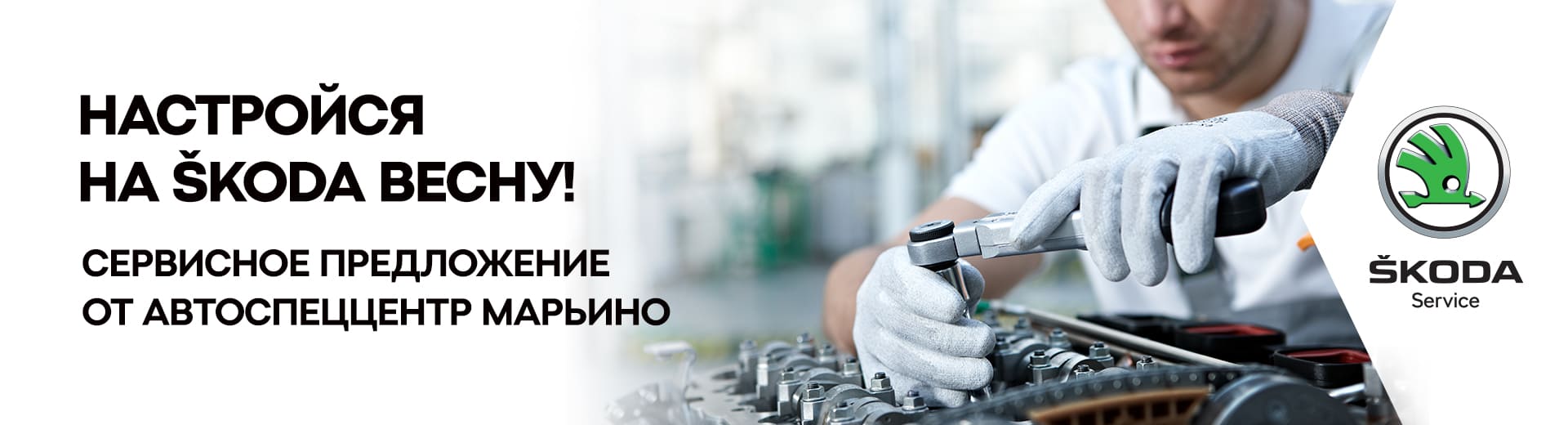 Главное изображение