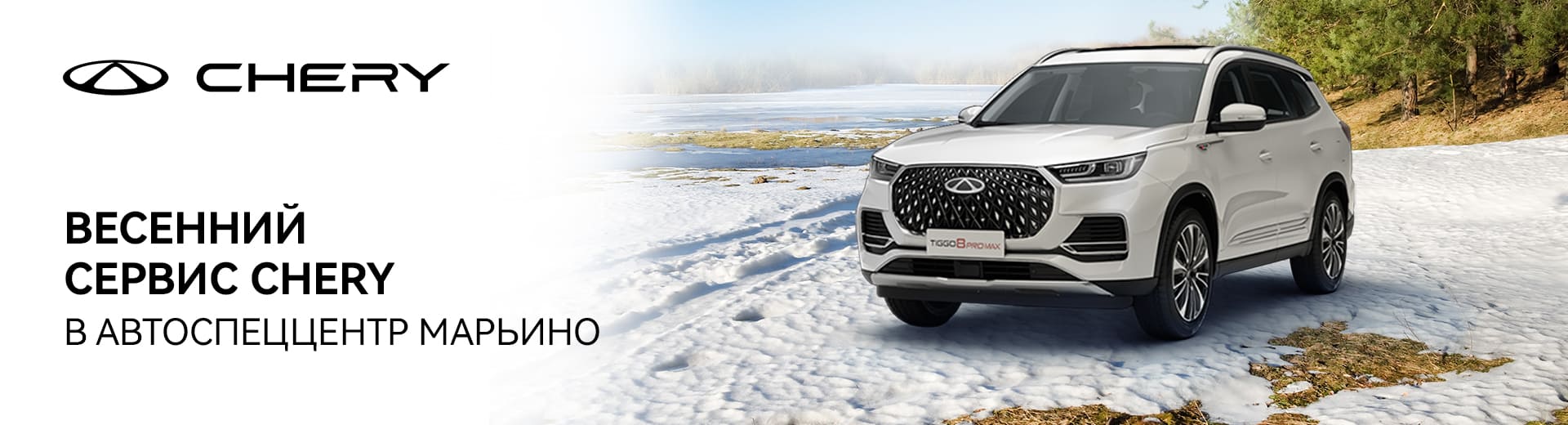 Главное изображение