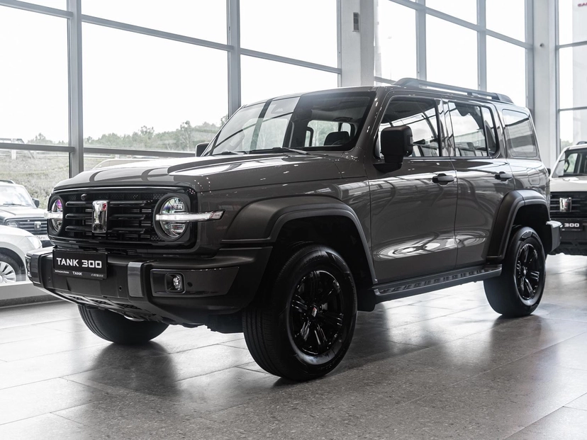 Автомобиль TANK 300 I поколение 2.0 AT 4WD (220 л.с.) Premium Серый 2025 новый