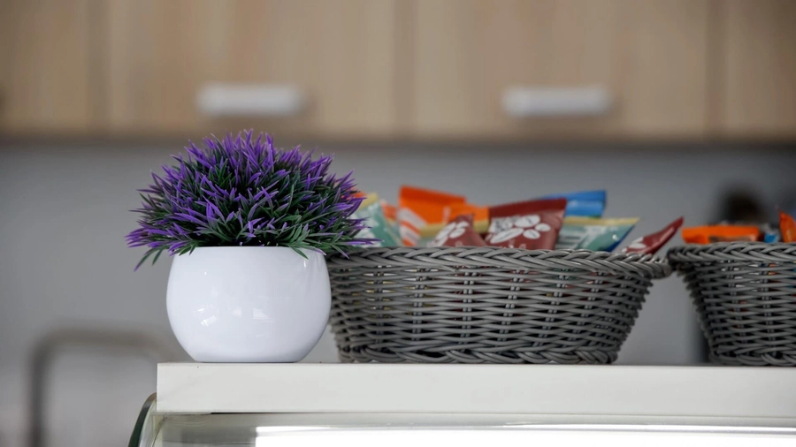 изображение дилерского центра