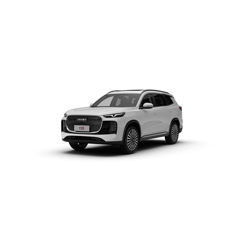 Автомобиль TENET T8 I поколение 2.0 AMT 4WD (197 л.с.) Prime Белый 2025 новый