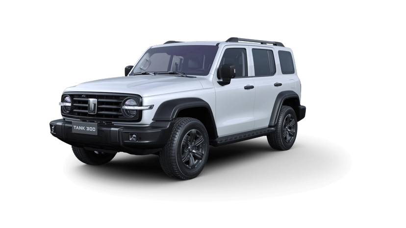 Автомобиль TANK 300 I поколение 2.0 AT 4WD (220 л.с.) Premium Белый 2023 новый
