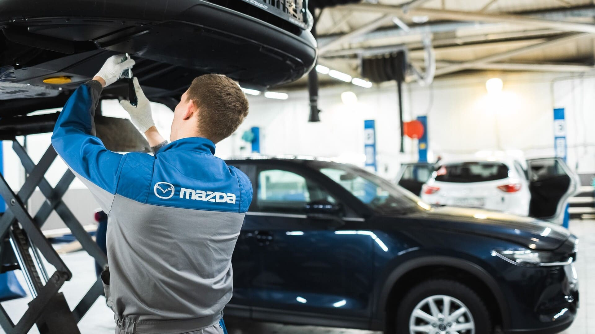 изображение дилерского центра