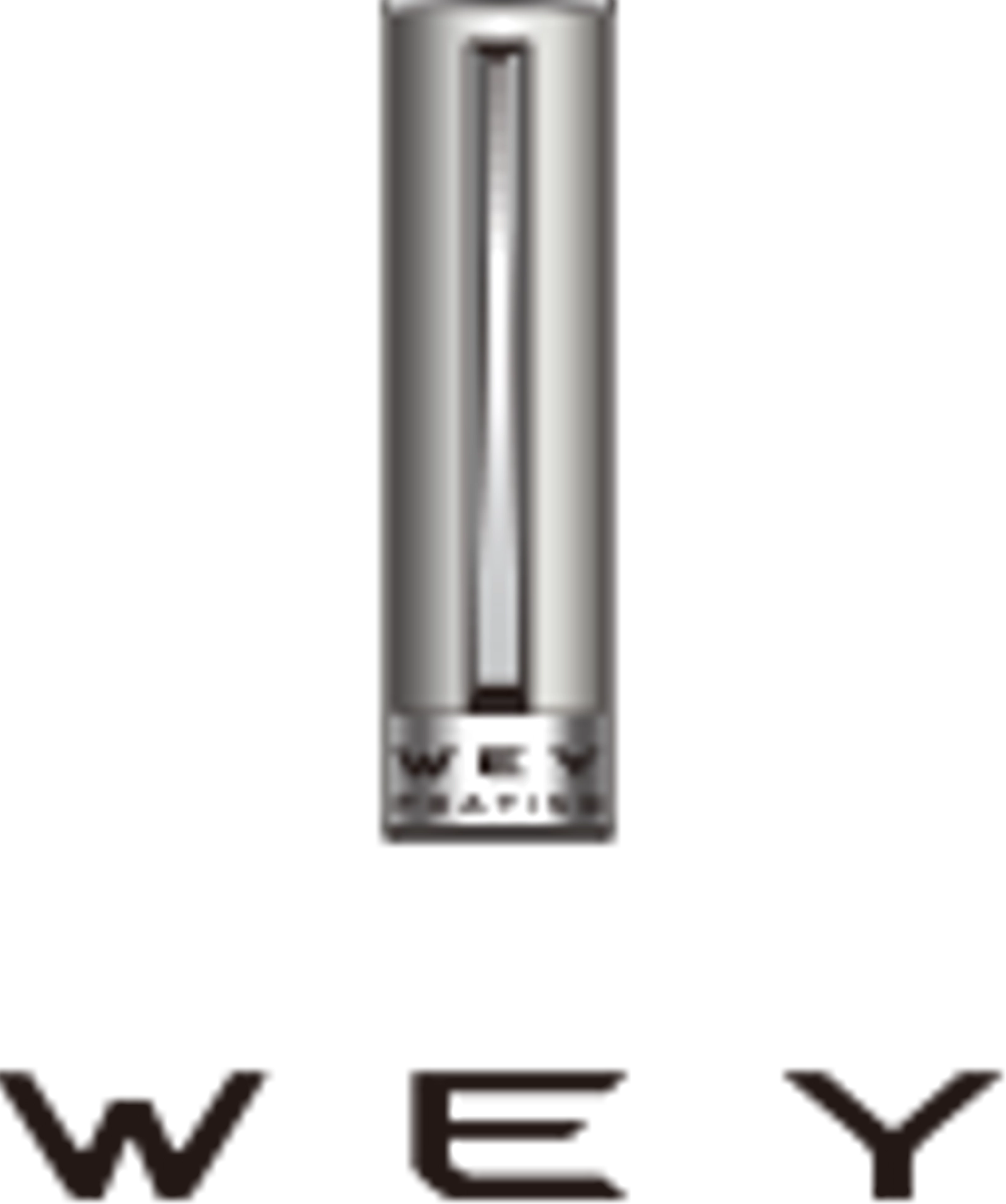 логотип WEY